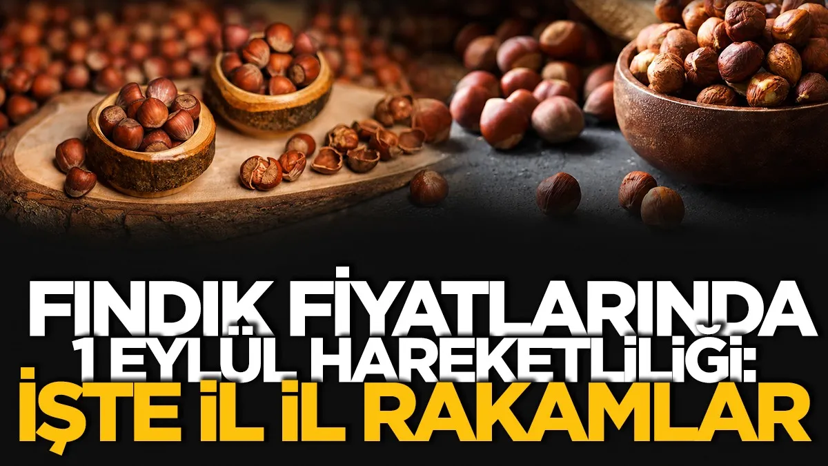 Fındık fiyatlarında 1 Eylül hareketliliği: İşte il il rakamlar