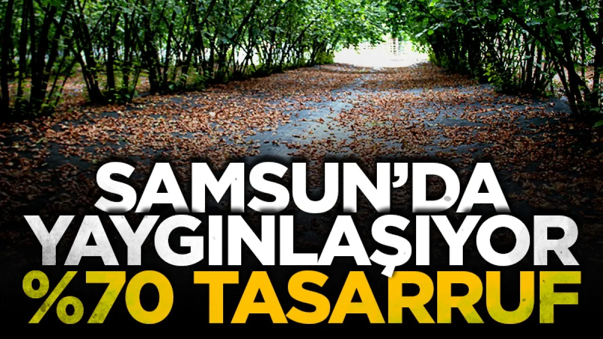 Fındıkta fileli hasat yaygınlaşıyor: Maliyet yüzde 70'e kadar düşüyor