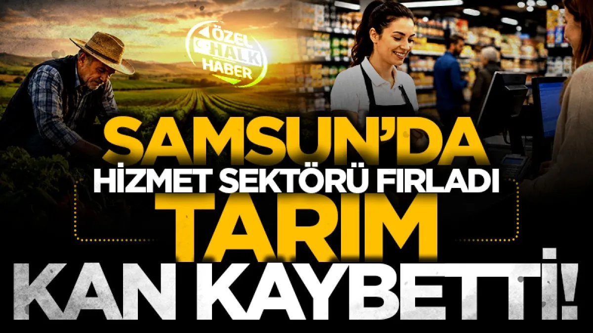 Samsun'da hizmet sektörü fırladı tarım kan kaybetti!