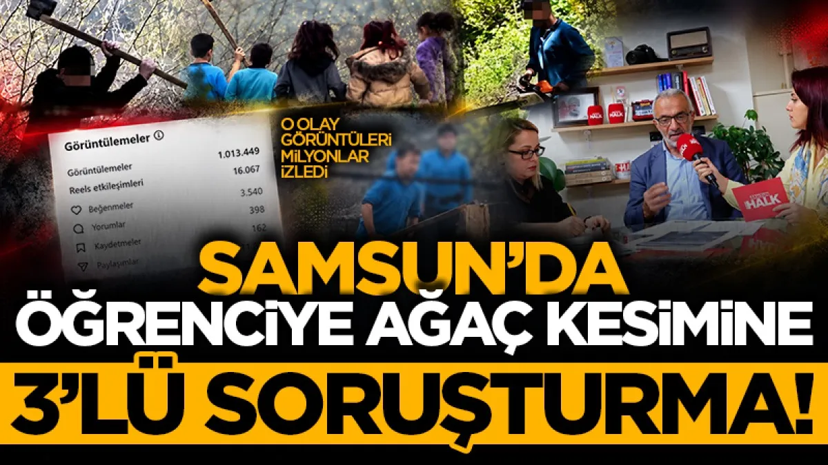 O olay görüntüleri milyonlar izledi: Samsun'da öğrenciye ağaç kesimine 3'lü soruşturma!