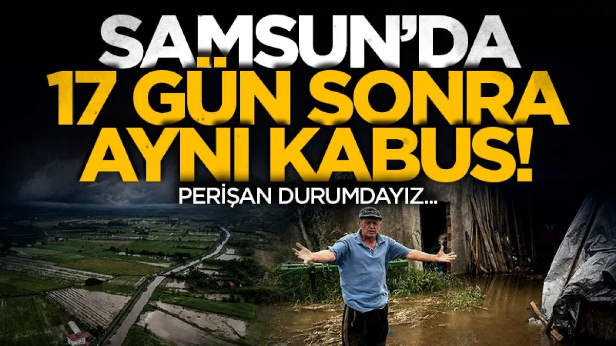 Samsun Çarşamba Ovası’nda 17 gün sonra aynı kabus! Evler ve tarım arazileri sular altında...
