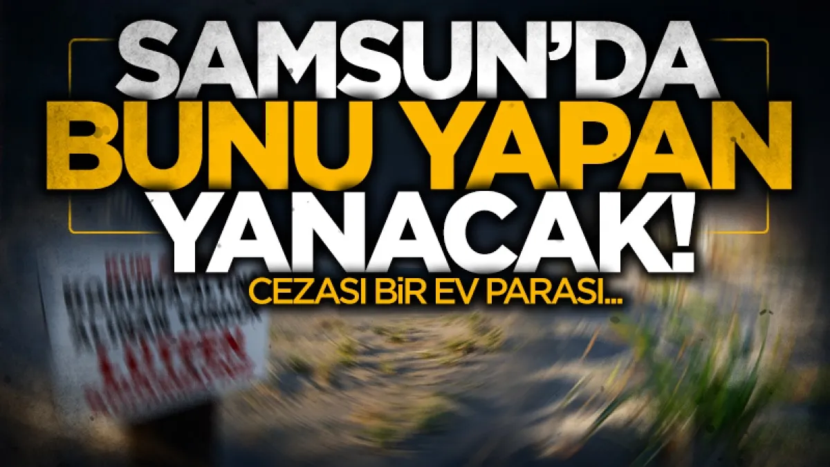 Samsun Sahillerini Süsleyen Kum Zambağını Koparan Yandı