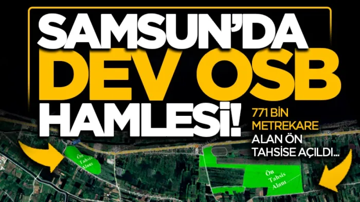 Samsun Terme'de dev OSB hamlesi! 771 bin metrekare alan ön tahsise açıldı, yatırımcıları bekliyor...