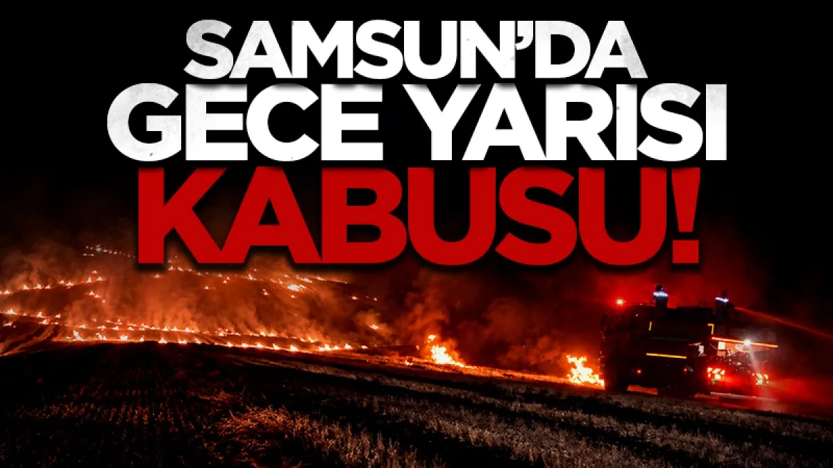 Samsun’da alevler tarım arazisini sardı