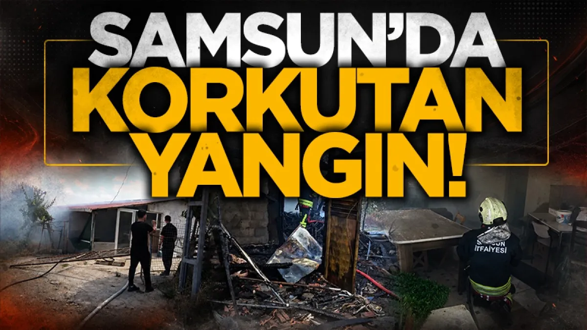 Samsun'da korkutan yangın: Bağ evi tamamen küle döndü, bir hayvan telef oldu