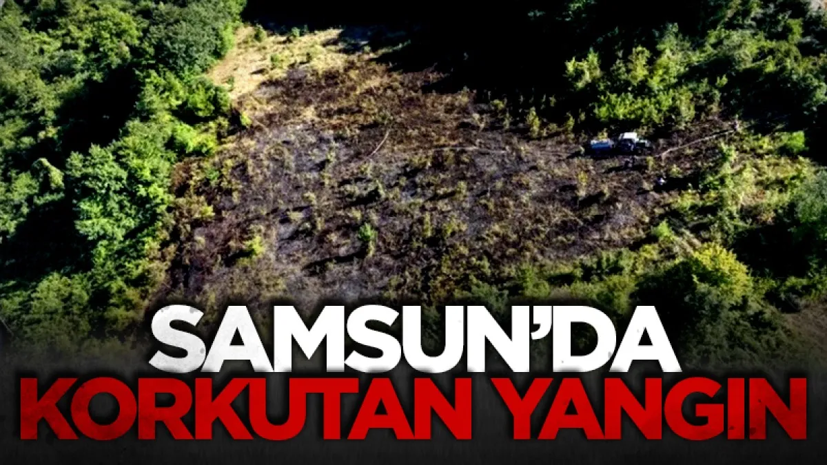 Samsun'da korkutan yangın: Ormana sıçramadan durduruldu