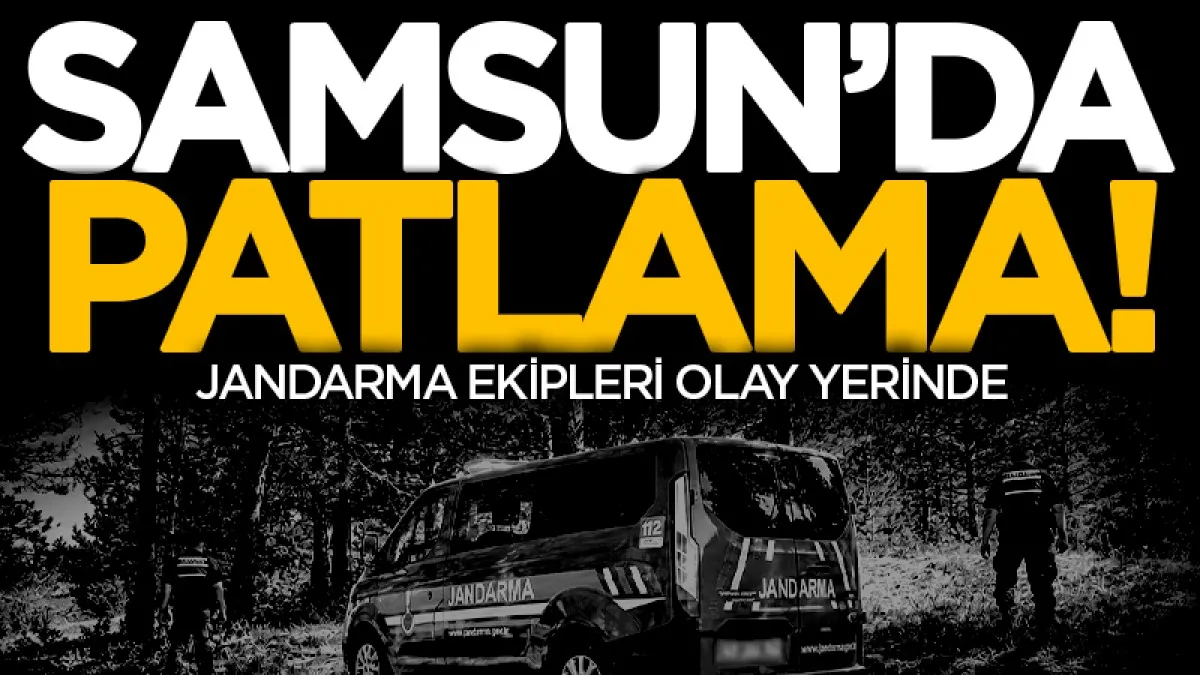 Samsun'da ormanlık alanda patlama sesleri