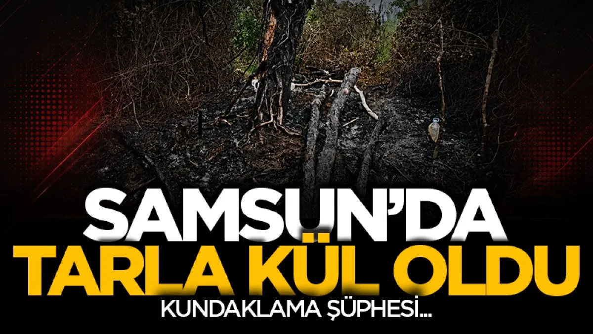 Samsun’da tarla yangını için kundaklama şüphesi