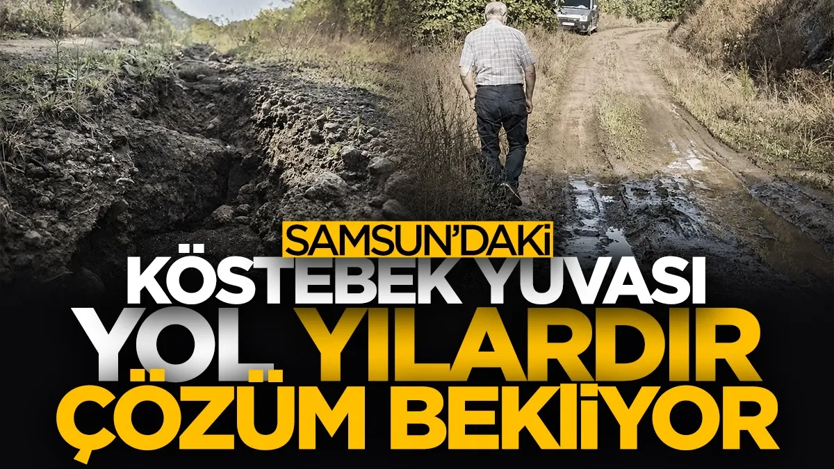 Samsun'daki köstebek yuvası yol yıllardır çözüm bekliyor