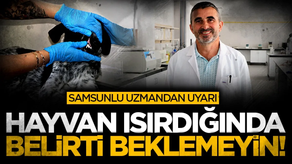 Samsunlu uzmandan uyarı: Hayvan ısırdığında belirti beklemeyin!