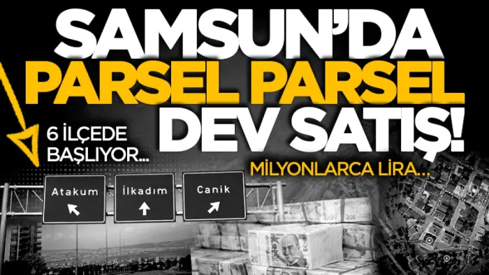 Samsun’un gözde ilçeleri Alaçam, Canik, Tekkeköy, Çarşamba, Atakum ve İlkadım’da arsa, tarla ve fındık bahçesi satılacak!