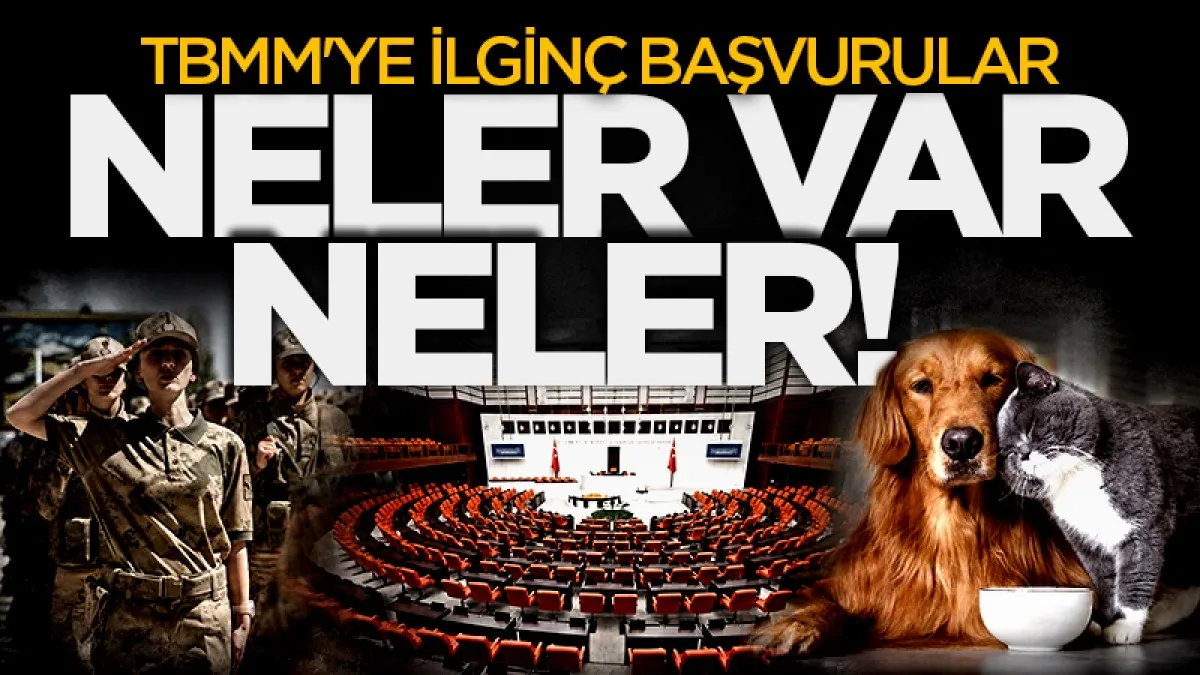 TBMM'ye ilginç başvurular: "Kadınlar da askere alınsın, evcil hayvan vergisi gelsin"