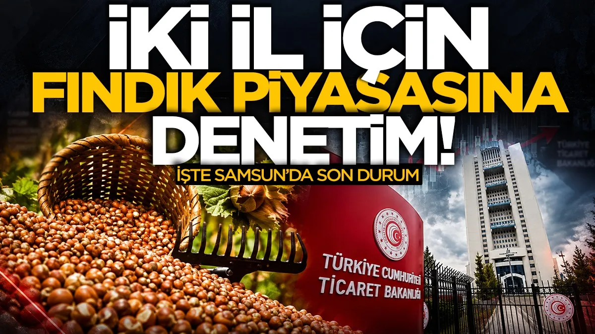Ticaret Bakanlığı'ndan fındık piyasasına denetim: Ordu ve Giresun'a müfettiş gönderildi