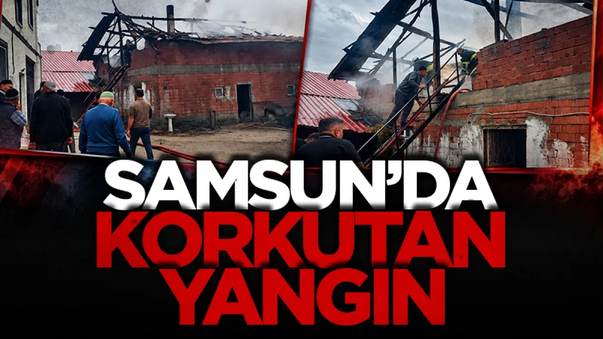 Vezirköprü'de korkutan samanlık yangını