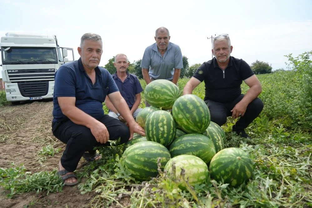 Bafra Ovası'nda bereket var, üretici fiyattan dertli
