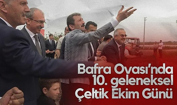 Bafra Ovası'nda 10. Geleneksel Çeltik Ekim Günü