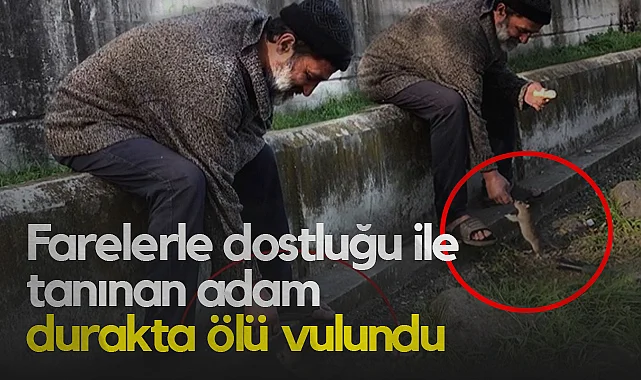 Samsun'da Farelerle Dostluğu ile Tanınan Adam Durakta Ölü Bulundu