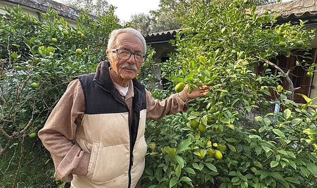 Samsun'da Üreticiden Örnek Başarı Hikayesi: Arazisinde 54 Farklı Organik Meyve Yetiştiriyor