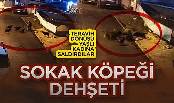 İlkadım'da Korku Dolu Dakikalar: Teravih Çıkışı Köpek Saldırısına Uğrayan Yaşlı Kadın Yaralandı