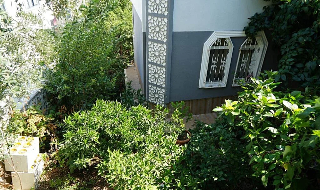 Samsun'da 50 Ülkeden 200 Çeşit Meyve Yetiştiren Bahçe