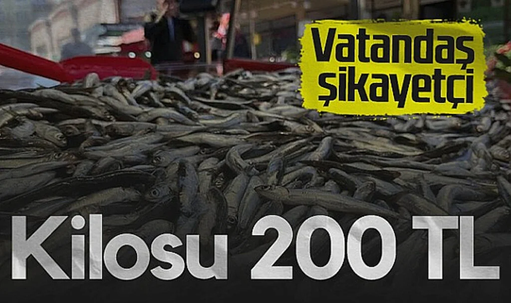 Hamsinin Kilosu 200 TL'ye Çıktı, Vatandaş Şikayetçi