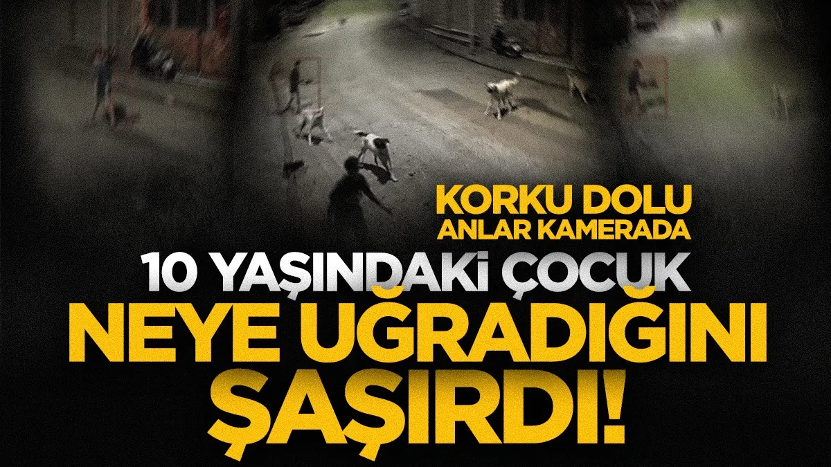 10 yaşındaki çocuğun köpeklerden kaçtığı anlar güvenlik kamerasında