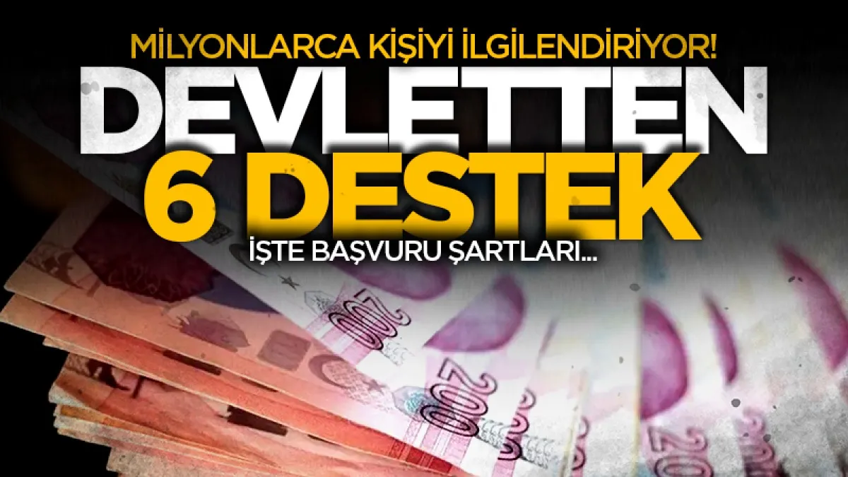 65 yaş üstüne ücretsiz hizmetler! İşte başvuru şartları...