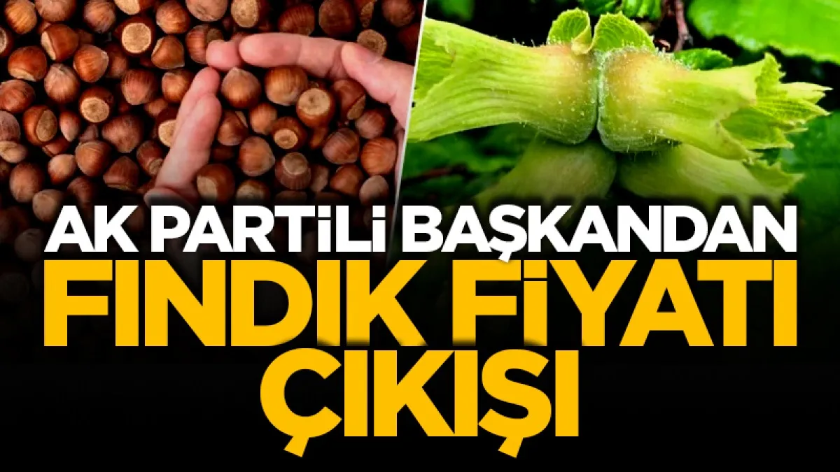 AK Parti'li Başkan fındık fiyatını yetersiz buldu!