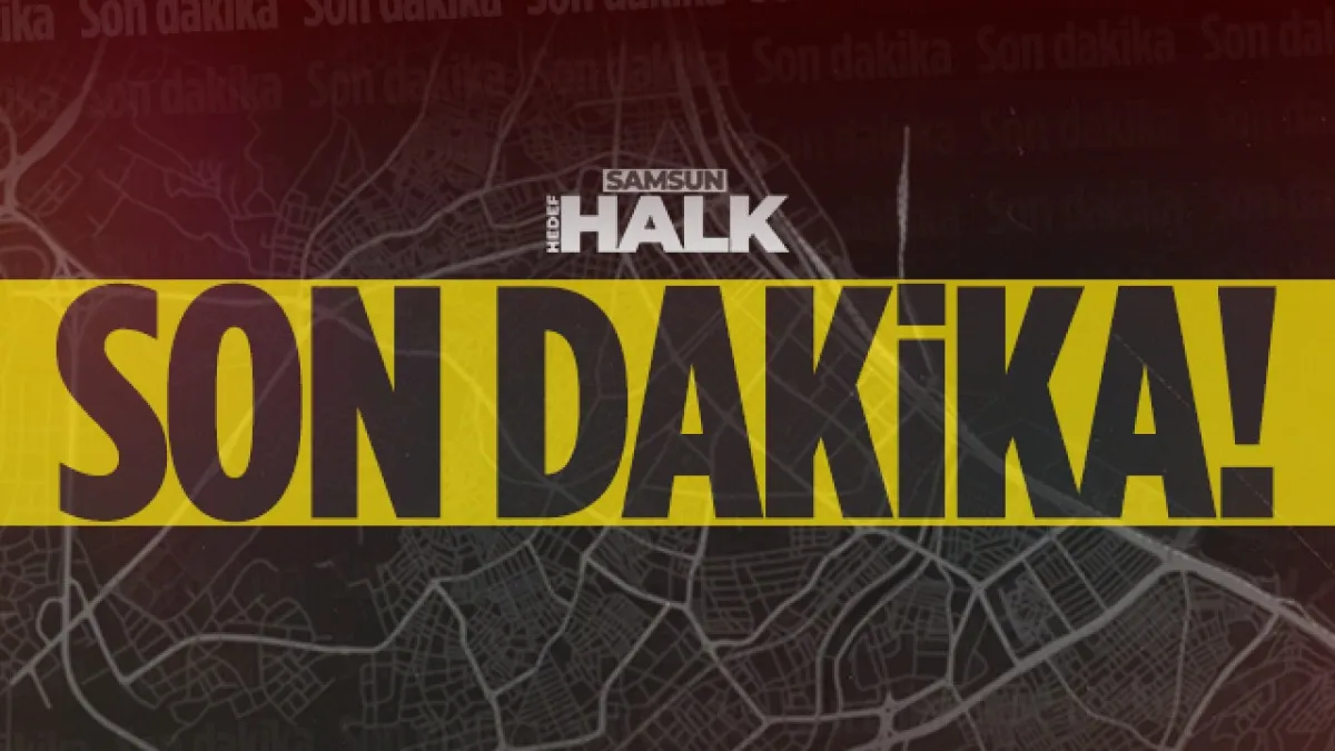 Alihan Kuriş operasyonunda dev servet yakalandı: 200 kilo külçe altın ele geçirildi