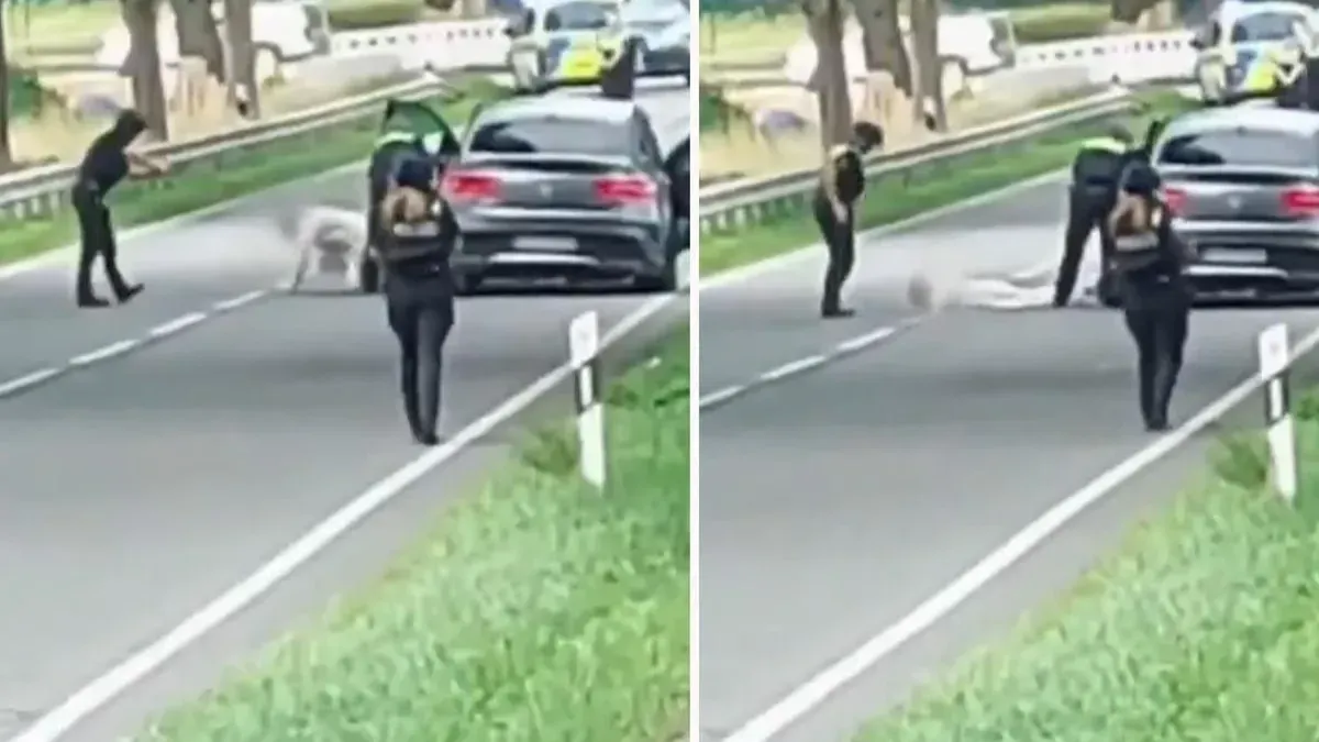 Almanya'da 6 kişiyi öldüren saldırgan Türk çıktı