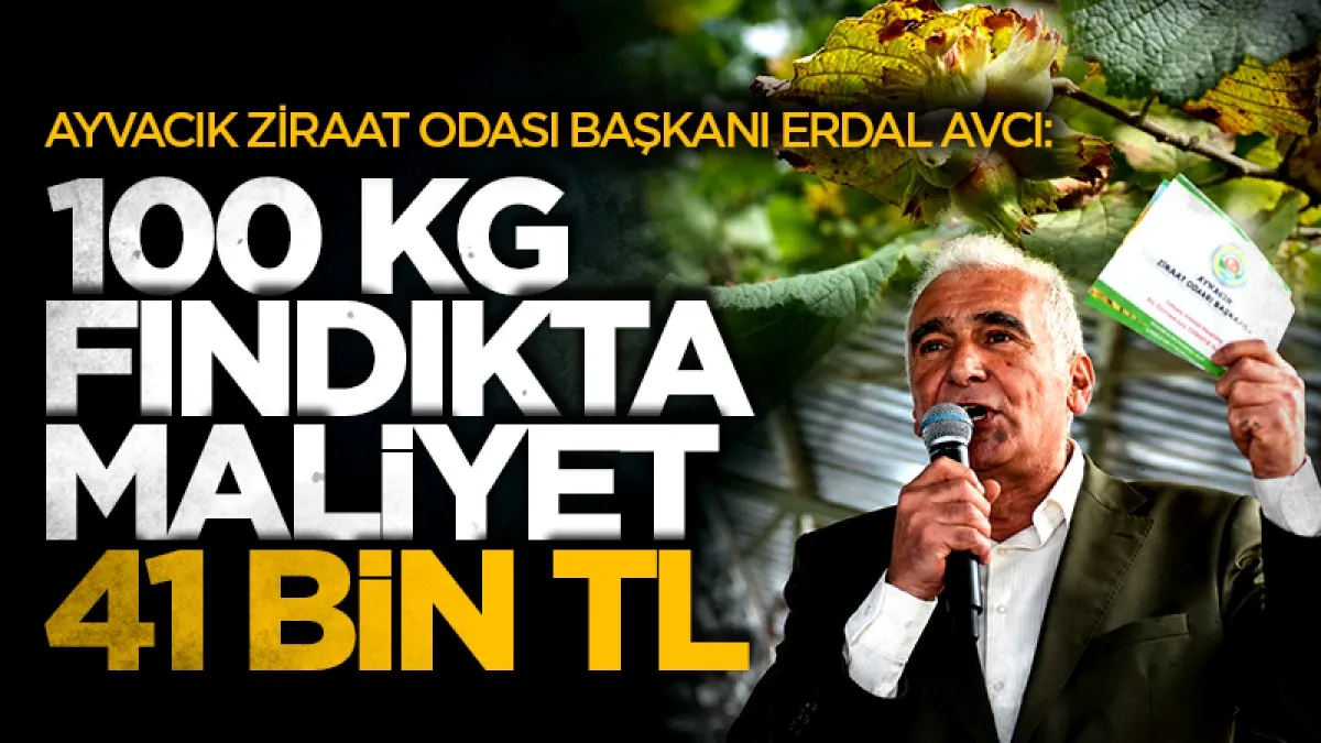 Ayvacık Ziraat Odası Başkanı Erdal Avcı: 100 kg fındıkta maliyet 41 bin TL