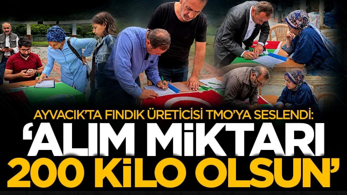 Ayvacık’ta fındık üreticisi TMO’ya seslendi: ‘Alım miktarı 200 kilo olsun'