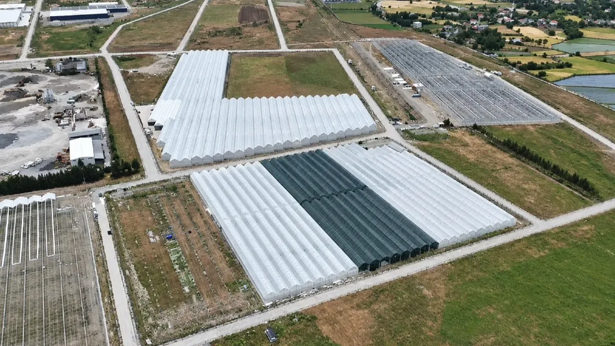 Bafra Sera Organize Tarım Bölgesi’nde doluluk yüzde 85’e ulaştı