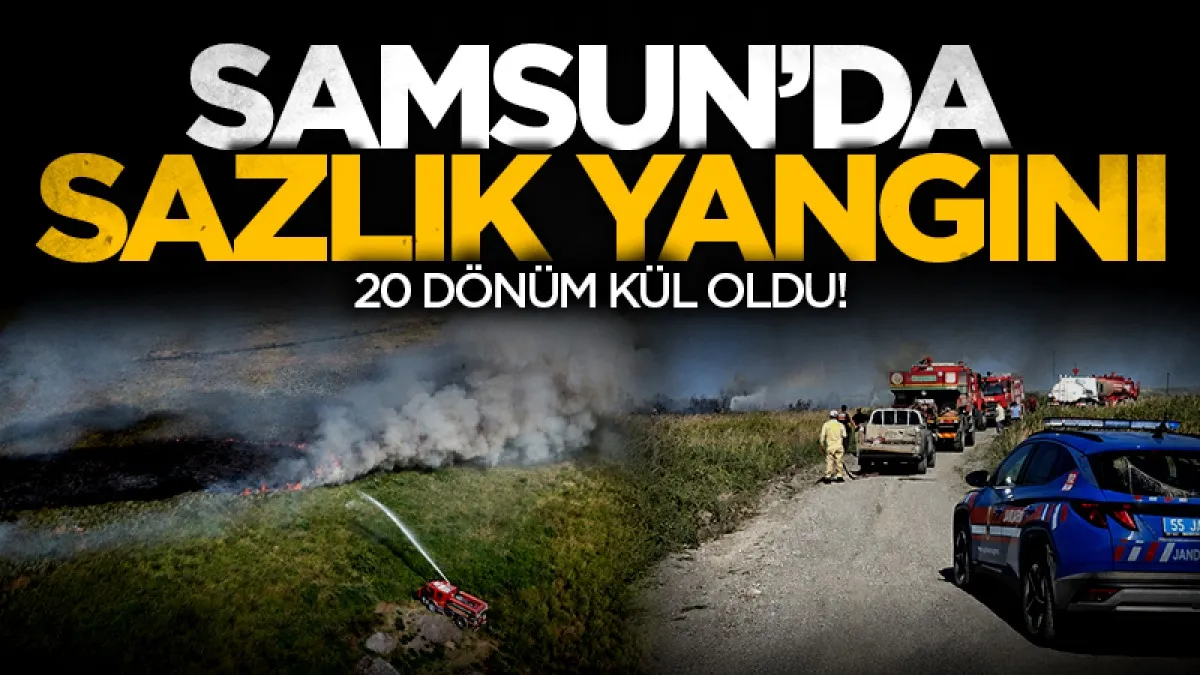 Bafra’da sazlık alanda yangın: 20 dönüm zarar gördü