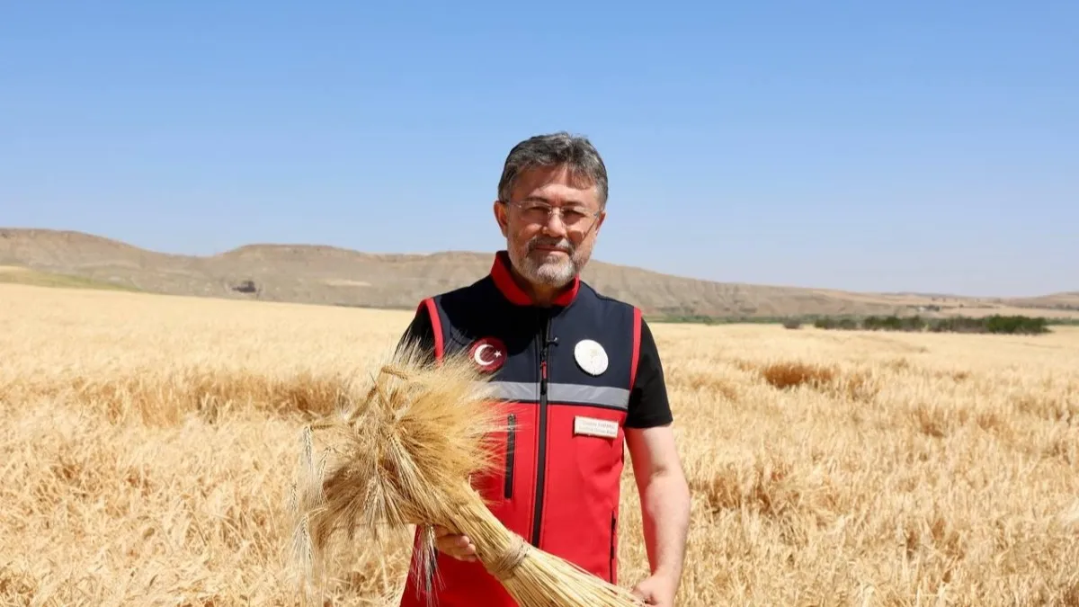 Bakan Yumaklı müjdeyi verdi: Buğday ve arpa üretiminde rekor artış beklentisi