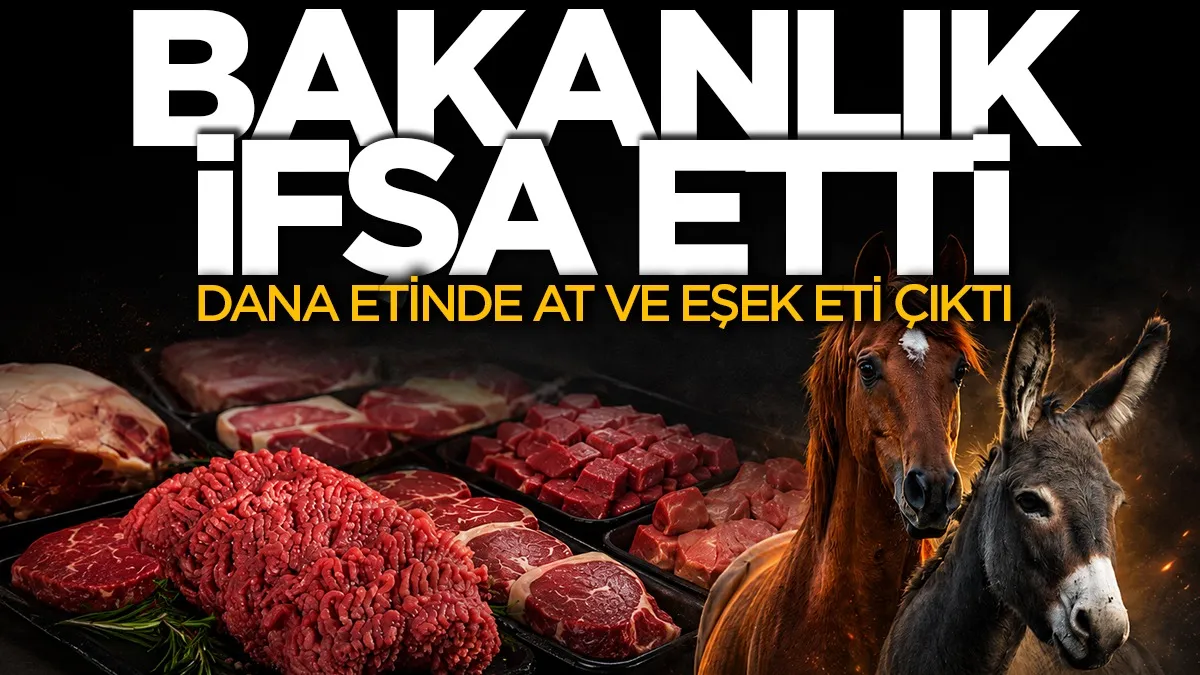 Bakanlık ifşa Listesi: Dana eti ile kıymada at ve eşek eti çıktı
