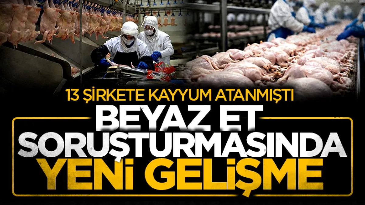 Beyaz et sektörü soruşturmasında yeni gelişme