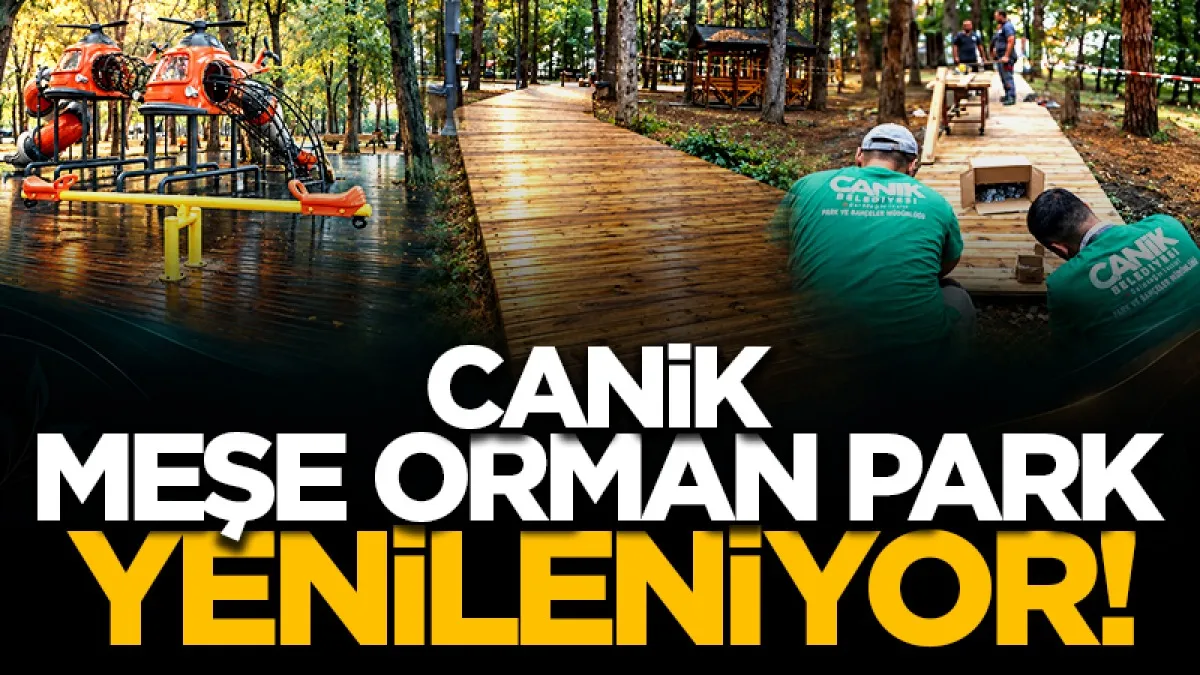 Canik Belediyesi Hasköy Meşe Orman Park yenileniyor