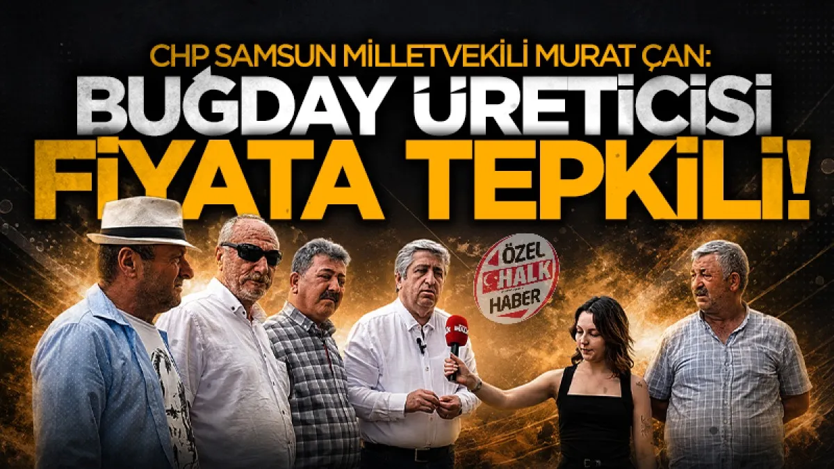CHP Samsun Milletvekili Murat Çan: Buğday üreticisi fiyata tepkili