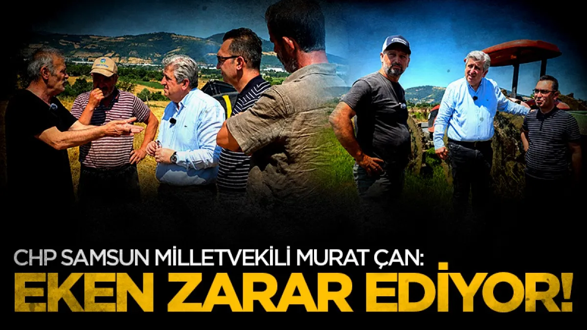 CHP Samsun Milletvekili Murat Çan: Eken zarar ediyor!
