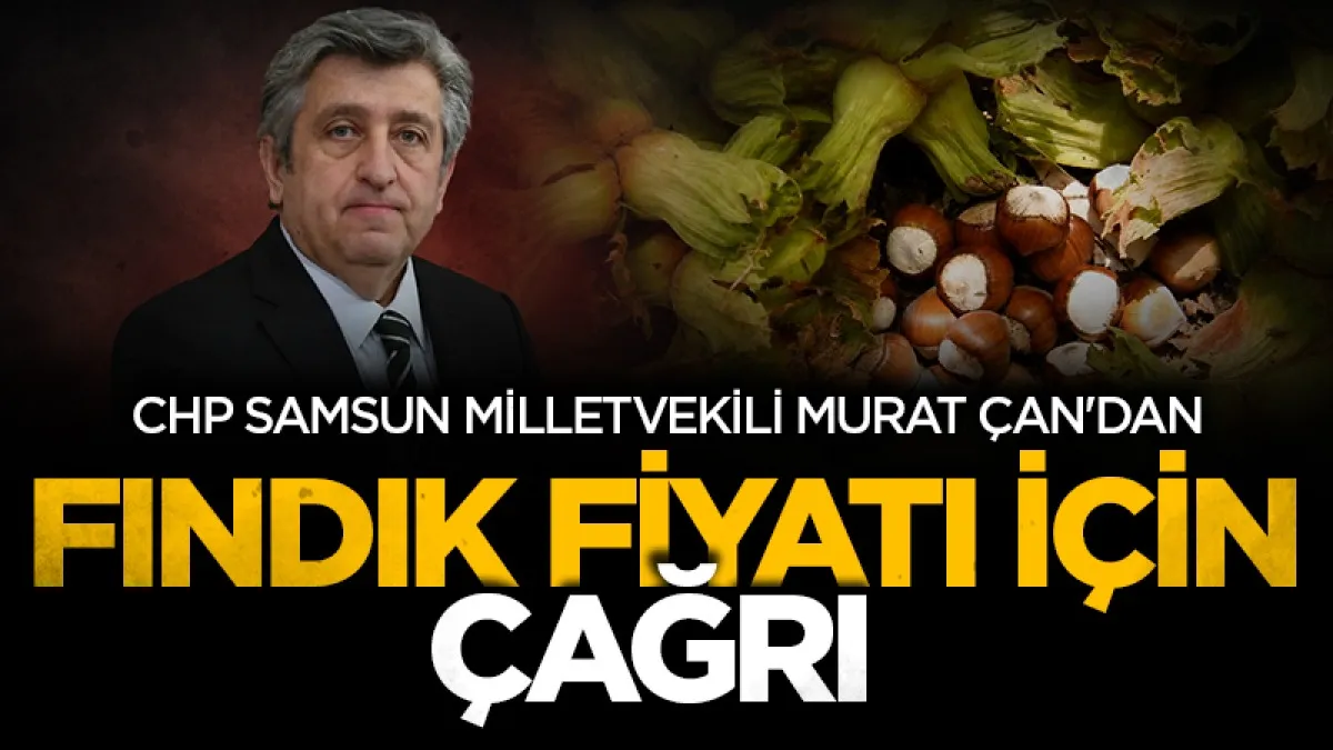 CHP Samsun Milletvekili Murat Çan'dan fındık fiyatı için çağrı