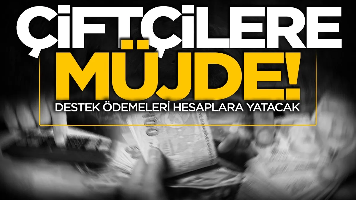 Çiftçilere müjde! Destek ödemeleri hesaplara yatacak