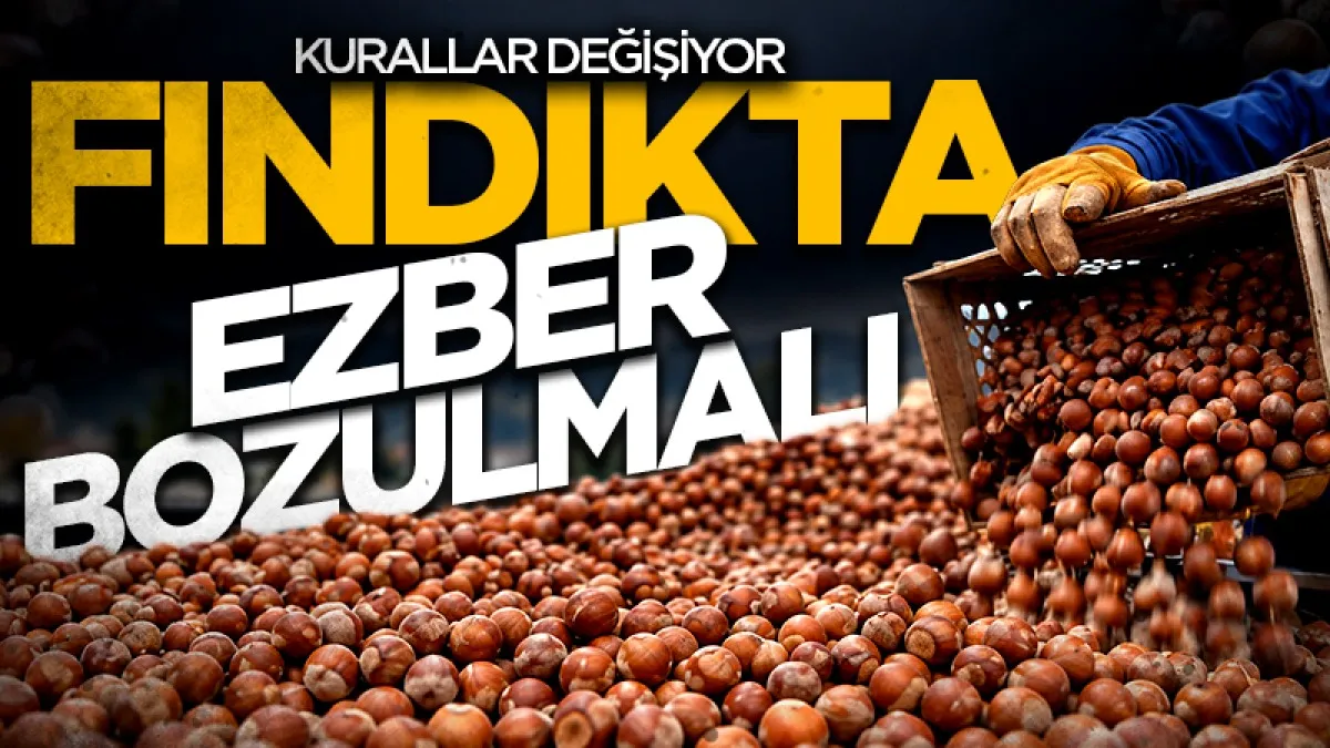 Dünya fındık üretiminde kurallar değişiyor: Fındıkta ezber bozulmalı!