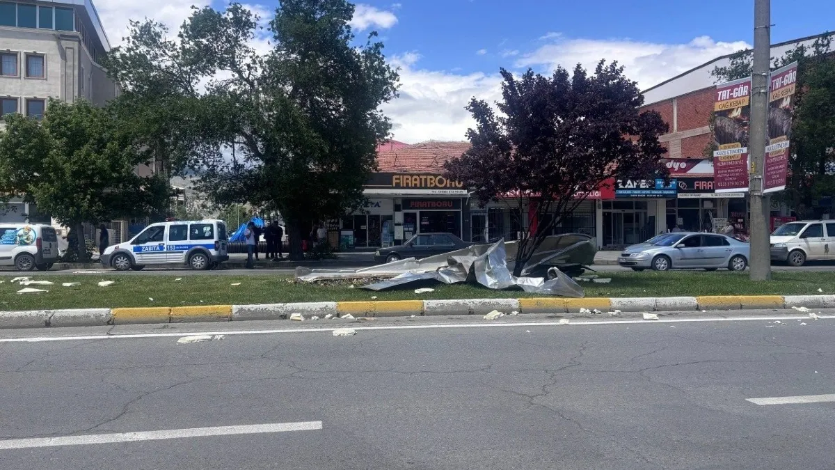 Erzincan'da Şiddetli Rüzgardan Ağaçlar Devrildi, Çatılar Uçtu
