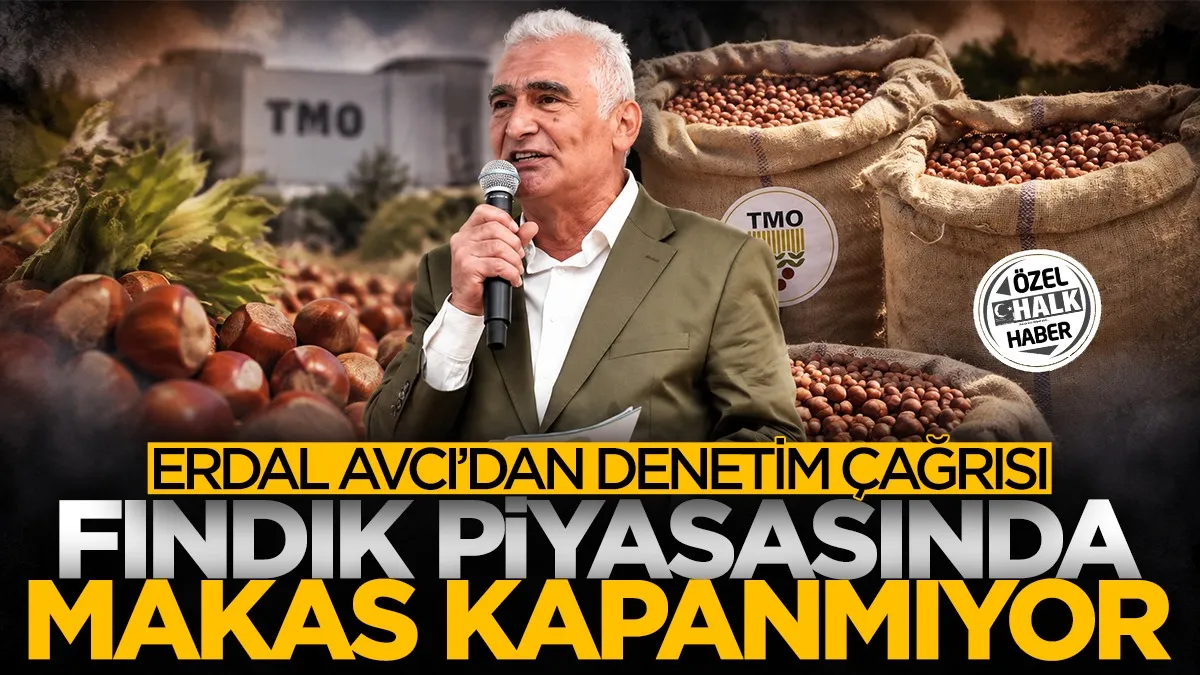 Fındık piyasasında makas kapanmıyor! Ayvacık Ziraat Odası Başkanı Erdal Avcı'dan denetim çağrısı...
