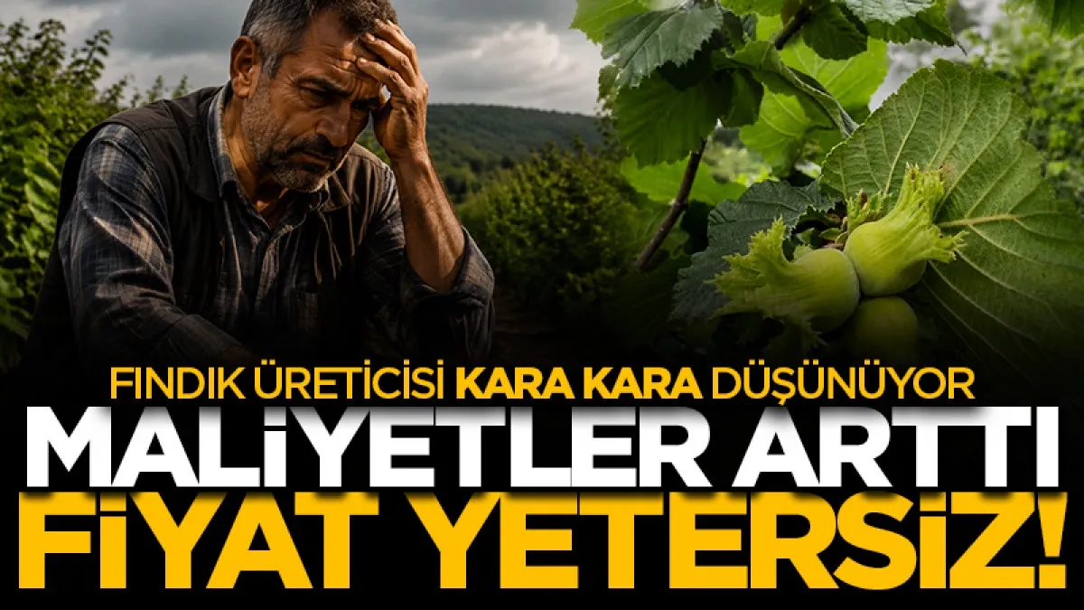 Fındık üreticisi kara kara düşünüyor: Maliyetler arttı fiyat yetersiz!