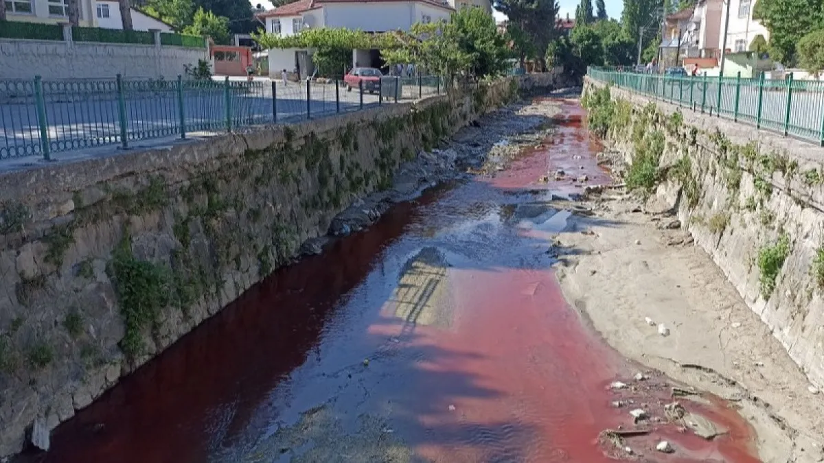 Havza'da dereyi kirleten işletmeye suç duyurusu