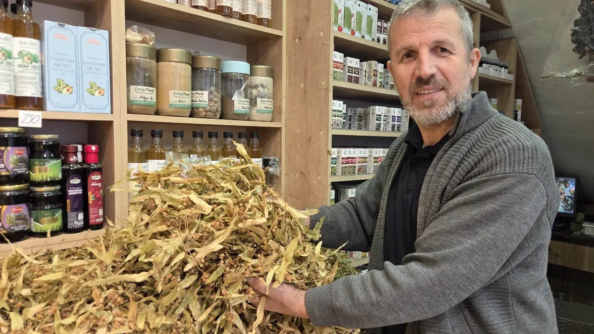 Ihlamurda yıllar sonra bir ilk! Fiyatı 2 bin 500 TL'den bin 500 TL'ye düştü