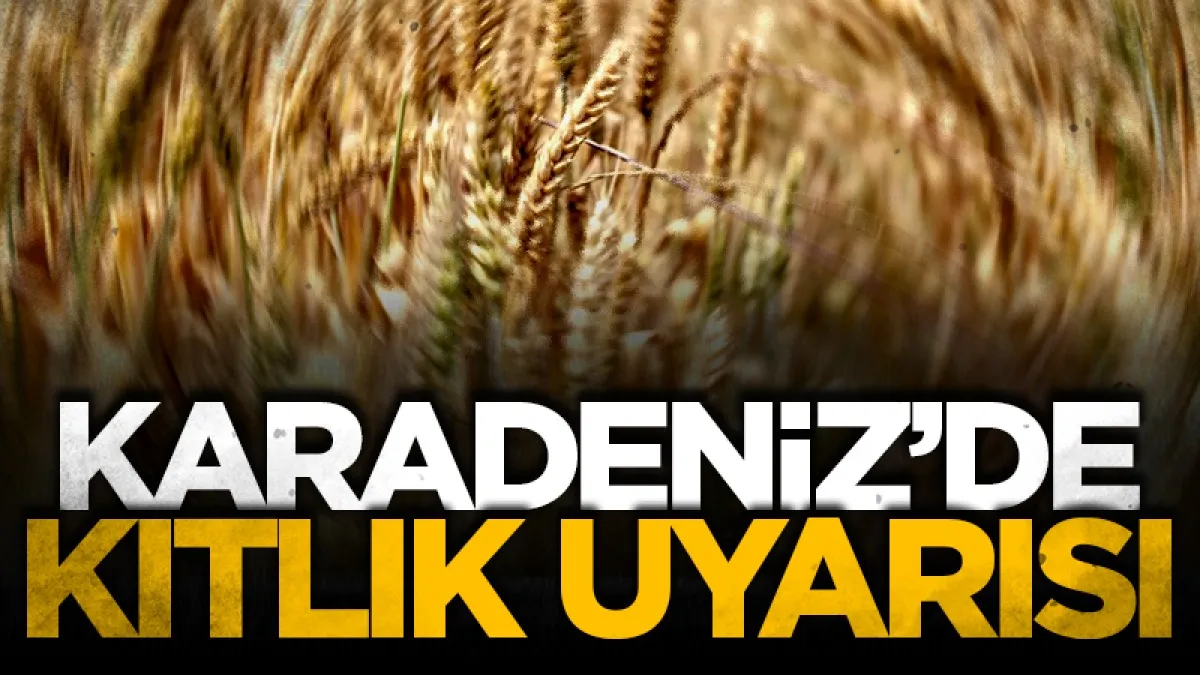 Karadeniz’de gıda krizi ve kıtlık uyarısı
