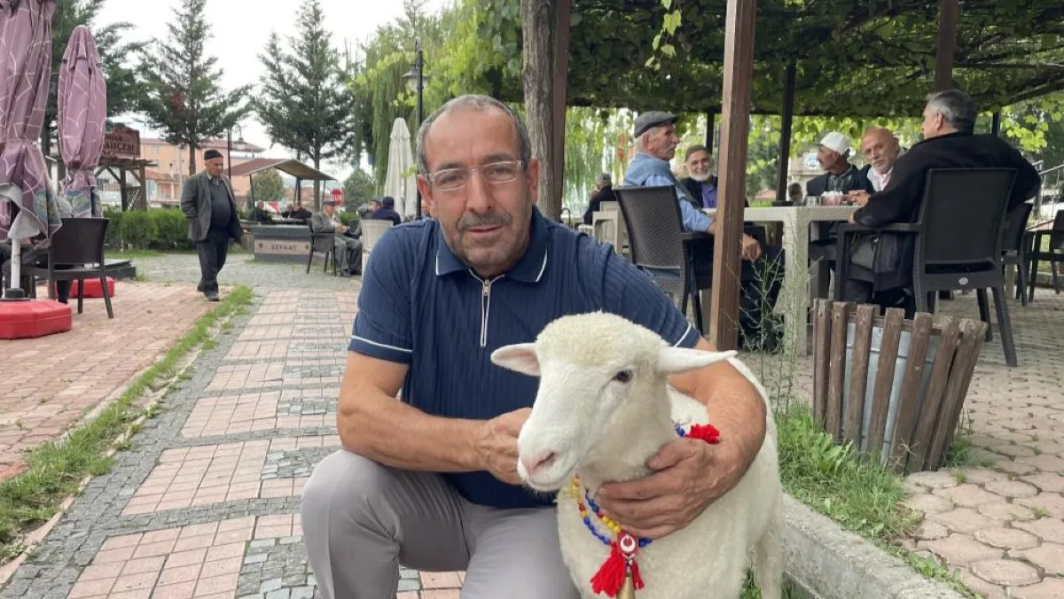 Kavak’ta sevimli kuzu Tertip ilgi odağı oldu